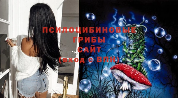 Альфа ПВП Абдулино