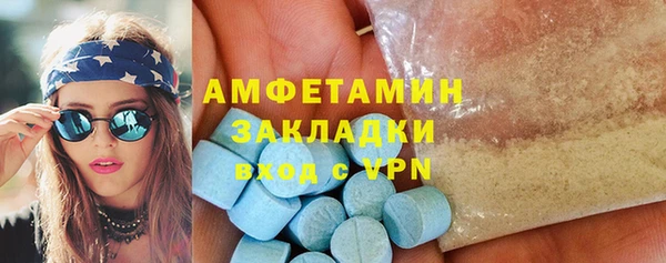 прущие грибы Саяногорск